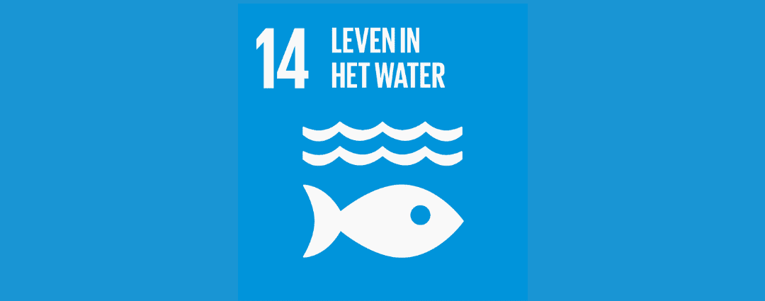 SDG 14: Leven in het water - Sustainable Boost