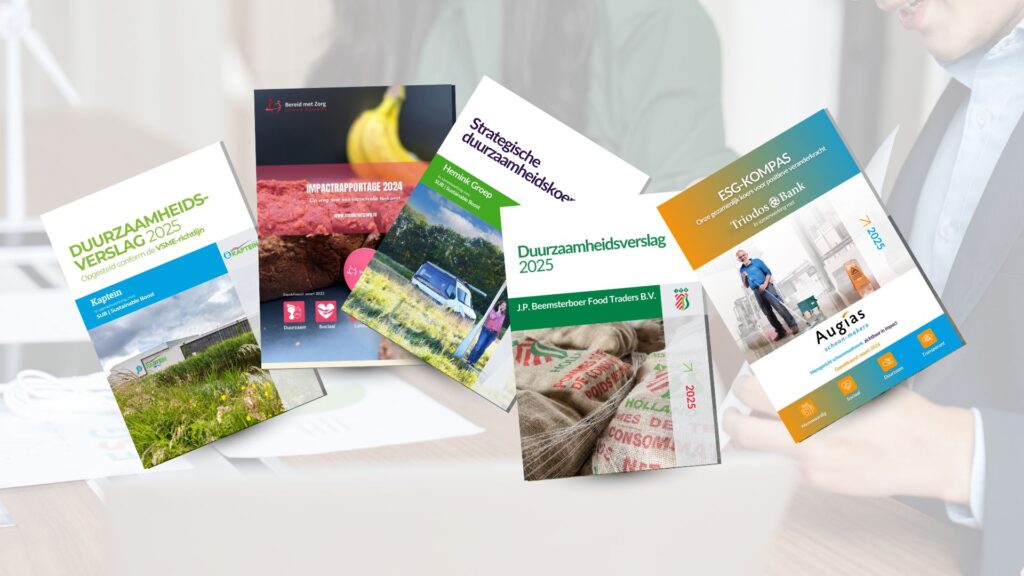 workshop VSME verslag opstellen